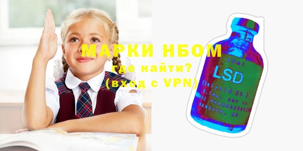 индика Коряжма
