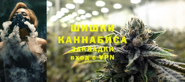 сатива Майский