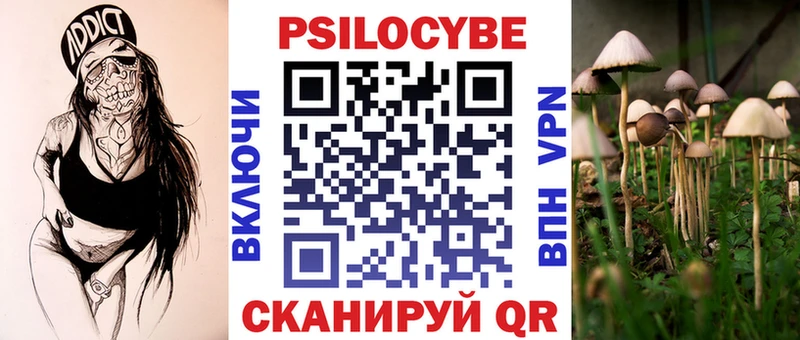 Псилоцибиновые грибы Psilocybine cubensis Королёв